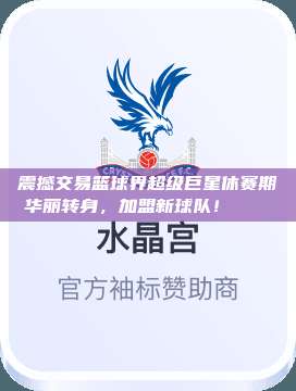 震撼交易篮球界超级巨星休赛期华丽转身，加盟新球队！🏀✨