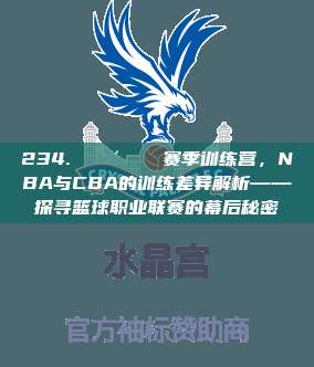 234. 🚴‍♂️ 赛季训练营，NBA与CBA的训练差异解析——探寻篮球职业联赛的幕后秘密