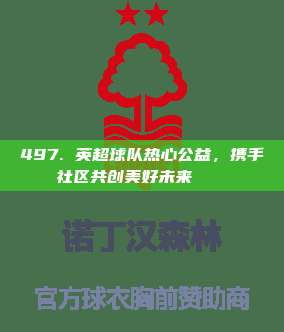 497. 英超球队热心公益，携手社区共创美好未来🏘️