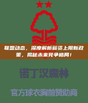 联盟动态，深度解析薪资上限新政策，揭秘未来竞争格局！